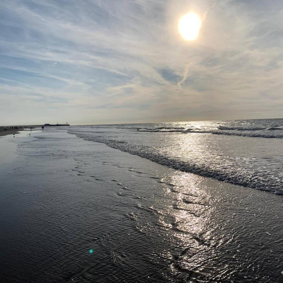 Apartment Penthouse Seaview Blankenberge